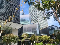 Ngee Ann City Tower A (D9), Shop House #559195671